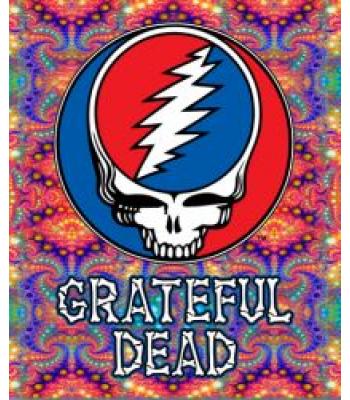 Steal Your face Fractal 