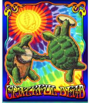 Terrapin Sunshine Throw 
