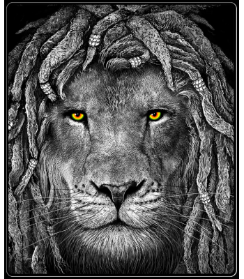 Rasta Lion Eyes Throw